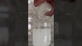 clock reaction chemistry science reaction experiment [upl. by Ashleigh]