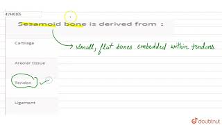 Sesamoid bone is derived from [upl. by Mulloy]