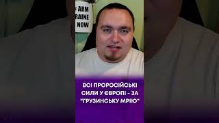 ТВ7 ВСІ ПРОРОСІЙСЬКІ СИЛИ У ЄВРОПІ  ЗА quotГРУЗИНСЬКУ МРІЮ  ІГОР ЧАЛЕНКО [upl. by Eppilihp602]