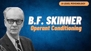 Behaviourist Approach  BF Skinner  Operant Conditioning  AQA Psychology [upl. by Llaccm619]