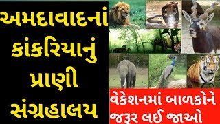 ahmedabad kankaria zoo ।। ahmedabad kankariya lake ।। kankaria ahmedabad [upl. by Anaila]