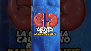 ¡CUIDADO LA CREATINA CAUSA DAÑO RENAL Y RABDOMIÓLISIS 🙀creatina [upl. by Eneluj]