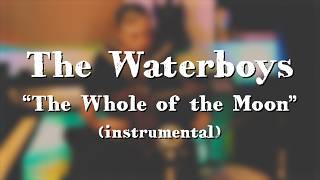 The Waterboys quotThe Whole of the Moonquot 1985 instrumental cover [upl. by Leasi]