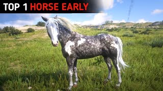 Proper Way To Get The Best amp Fastest Missouri Fox Trotter Horse Early  RDR2 [upl. by Karl]