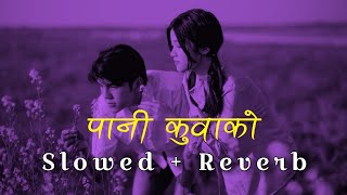 Pani kuwakoSlowed  Reverb  Sumitra Koirala  Alif Khan  Reverb Nepal [upl. by Clynes]