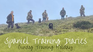 Gundog Diary  Gundog Training Holiday [upl. by Keg]