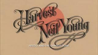 “Needle and the Damage Done” by Neil Young a capella cover [upl. by Patricio663]