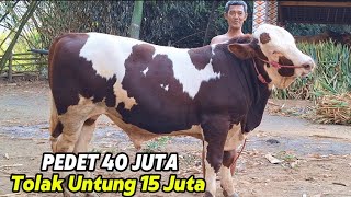 LEXXIE PEDET SUPER TOLAK UNTUNG 15 JUTA DIAWAL BELI🔥 [upl. by Nagaer826]