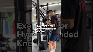 Hyperextended Knees exercises to reduce pain and stiffness [upl. by Iaras]