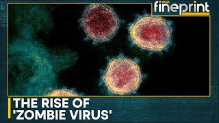 Scientists sound alarm for potential outbreak of Zombie Virus  WION Fineprint [upl. by Elamaj250]