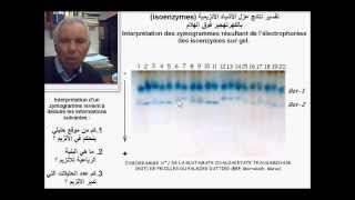 Isoenzymes des enzymes dimériques الأشباه الأنزيمية للأنزيمات الثنائية [upl. by Lessig]