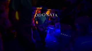 ODONATA  12624 Single Announcement [upl. by Lamraj]