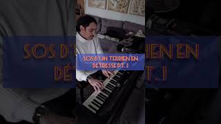 SOS dun terrien en détresse  Balavoine  Lemarchal  Dimash ChansonFrançaise PianoCover French [upl. by Rici]