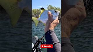 Kayak fishing on new Hand Caster REEL [upl. by Buckley]