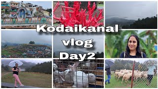 Day 2 in Kodaikanal Kodaikanal VacationVlog Travel Vlog Summer vacations Vlog [upl. by Ameer]