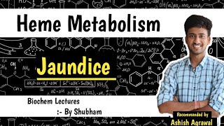 Hyperbilirubinemia amp Jaundice  Heme Metabolism  Biochemistry Lectures [upl. by Aneladgam]