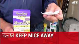 How To Keep Mice Away  Ace Hardware [upl. by Neelloj]