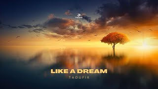 Taoufik  Like A Dream Official Music Video [upl. by Dibrin844]