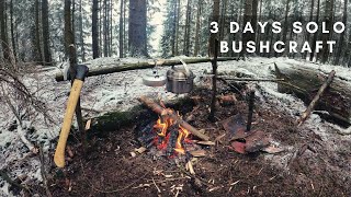 3 DAYS BUSHCRAFT IN WINTER  spoon carving healing with pine resin flooded rivers Roselli axe [upl. by Engelhart]