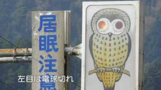 岐阜県で見つけた信号機詰め合わせ [upl. by Samau830]