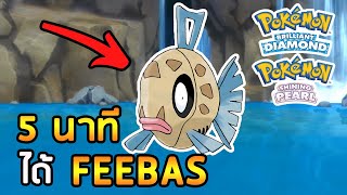 วิธีจับ FEEBAS แบบง่ายๆ วิธีใหม่ ใน Pokemon Brilliant Diamond amp Pokemon Shining Pearl [upl. by Weksler]