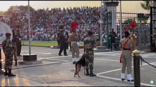 AttariWagah Border Beating Retreat Crowd Gathers To Witness Ceremony Ahead Of Independence Day [upl. by Nosac836]