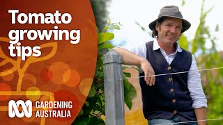 This tomato expert has some top tips for growing a great crop  Gardening 101  Gardening Australia [upl. by Llednov537]