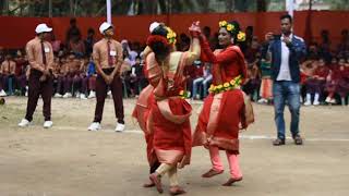 collectorate school and colleges kushtia [upl. by Arnelle]