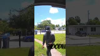 Porch Pirates Do Not Care caught porchpirate camera trending entertainment crime [upl. by Riggall494]