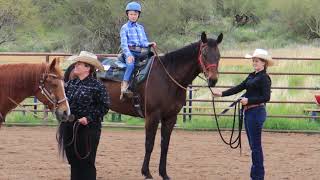 Class 13  Rail Class  Scottsdale Saddle Club  March Horse Show [upl. by Richmound192]