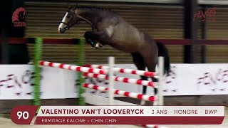 90  VALENTINO VANT LOOVERYCK [upl. by Victoria467]