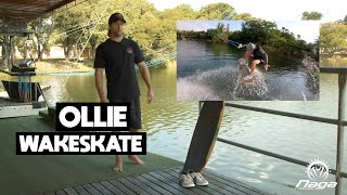 Como mandar Ollie no WakeSkate  Dicas Naga Cable Park [upl. by Leesa628]