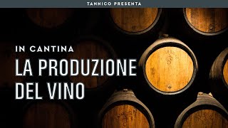 La produzione del vino rosso bianco rosato e orange  Tannico Flying School [upl. by Nnahs]