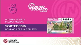 Sorteo Zodiaco No 1616 quotAlusivo a Nuestra Riqueza Maguey Mezcalquot [upl. by Ulane]