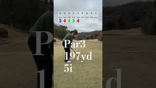 70台のリアル 東条の森カントリークラブ 3H golf golfswing ゴルフ ゴルフスイング vintage [upl. by Dlaner450]