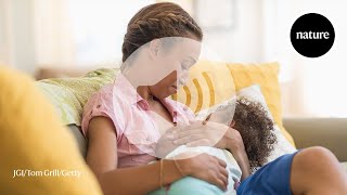 Breastfeeding should break down mothers bones — heres why it doesnt [upl. by Ahsoem]