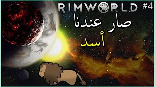 الحلقة 4 الموسم الرابع  Rim World  صار عندنا أسد 🦁 [upl. by Inesita]