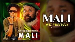 WIZ MONTANA  MALI Son Officiel [upl. by Eelyme]