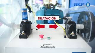 ⚙️Aprendé sobre lado libre y fijo de tu RODAMIENTO DE RODILLO A RÓTULA🧰👨🏻‍🏭SKFGroup [upl. by Elocal617]