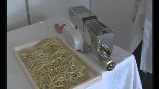 Macchina per pasta con trafile Made in italy professionale bigolaro elettrico LILLODUE [upl. by Gerger598]