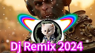 Dj Remix 2024 [upl. by Eniarda443]