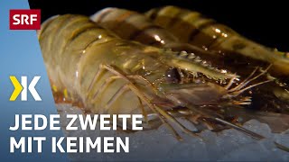 Crevetten im Test Resistente Bakterien und Keime in den Shrimps  2019  Kassensturz  SRF [upl. by Hanus]