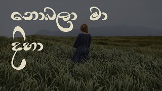 Nobala Ma Diha I නොබලා මා දිහා I Covered By SL Covers [upl. by Llennyl]