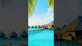 Maldives Trip Plan amp COMPLETE BUDGET  AZGuide  Maldives islands  Luxury Maldives Resort [upl. by Birchard]