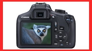 How to adjust Shutter Aperture amp ISO on a Canon EOS DSLR camera [upl. by Kendra]