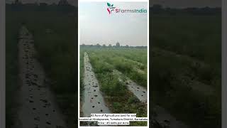 42 Acre  Agricultural land for sale  Hindupuram  Tumakuru District  Karnataka [upl. by Chandler]