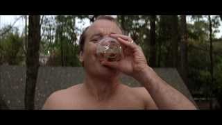 Rushmore  Pool Scene with Bill Murray [upl. by Imik]