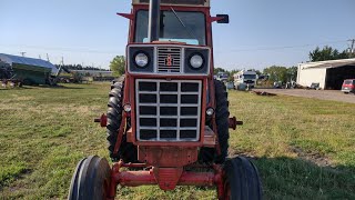 1066 international the newest tractor on the lot [upl. by Nerty]