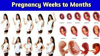 Pregnancy Week to Months  1 to 9 Month Pregnancy Fetal Development [upl. by Eirased535]