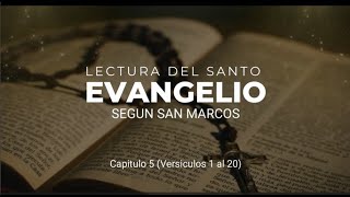 Evangelio Lunes 29 Enero 2024 San Marcos Cap5 Vers1 al 20 [upl. by Ajiak]